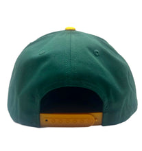 Think Sanp Back Hat